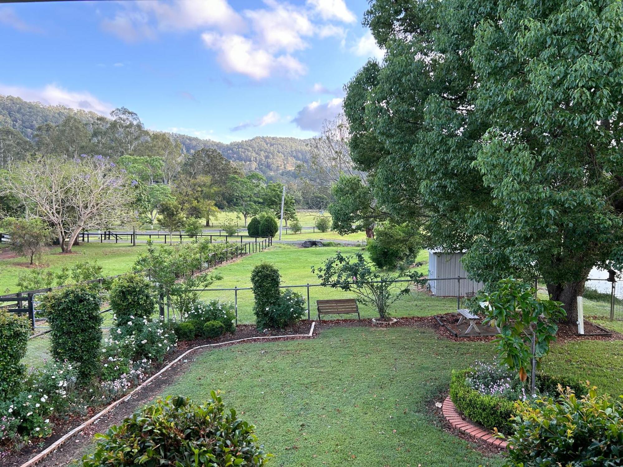 Cottage On Lamington Canungra Dış mekan fotoğraf